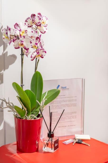 The Hostmaster Hollywood Space Studio Athens Ngoại thất bức ảnh
